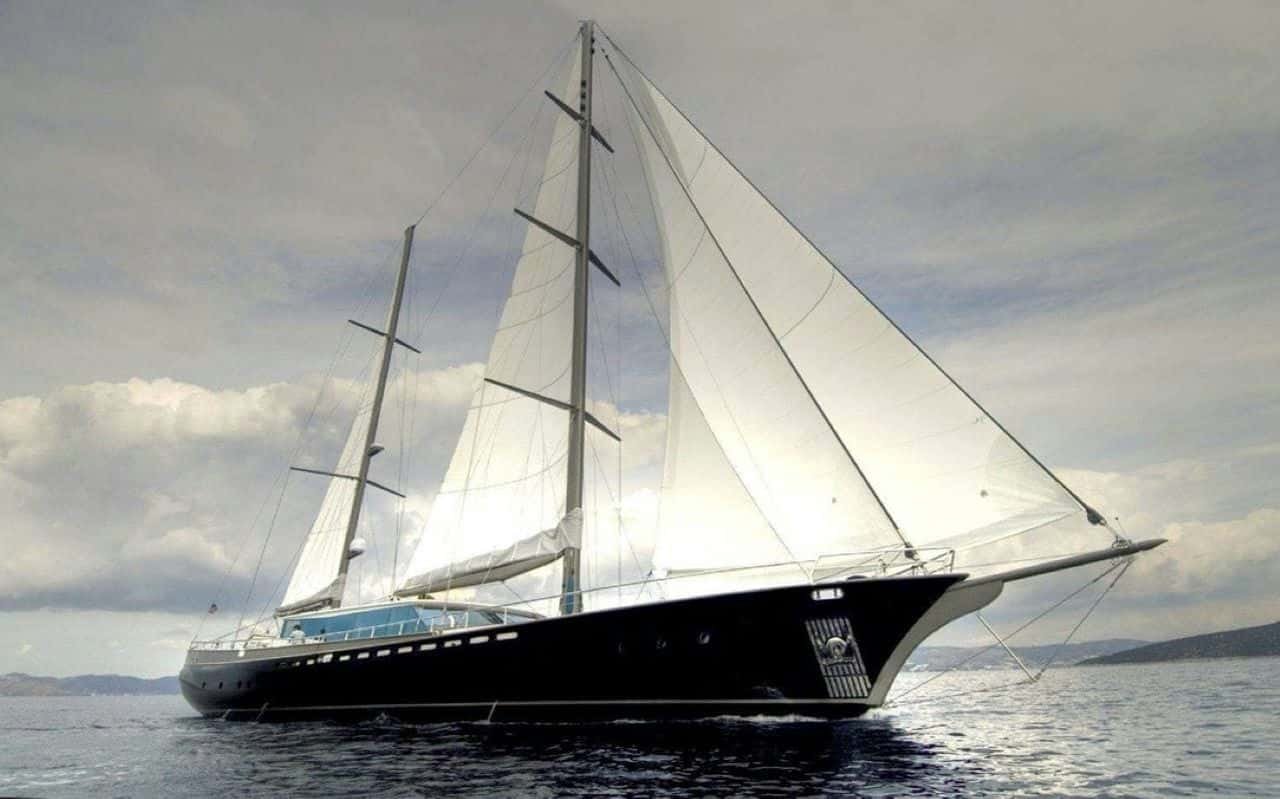 tigra1