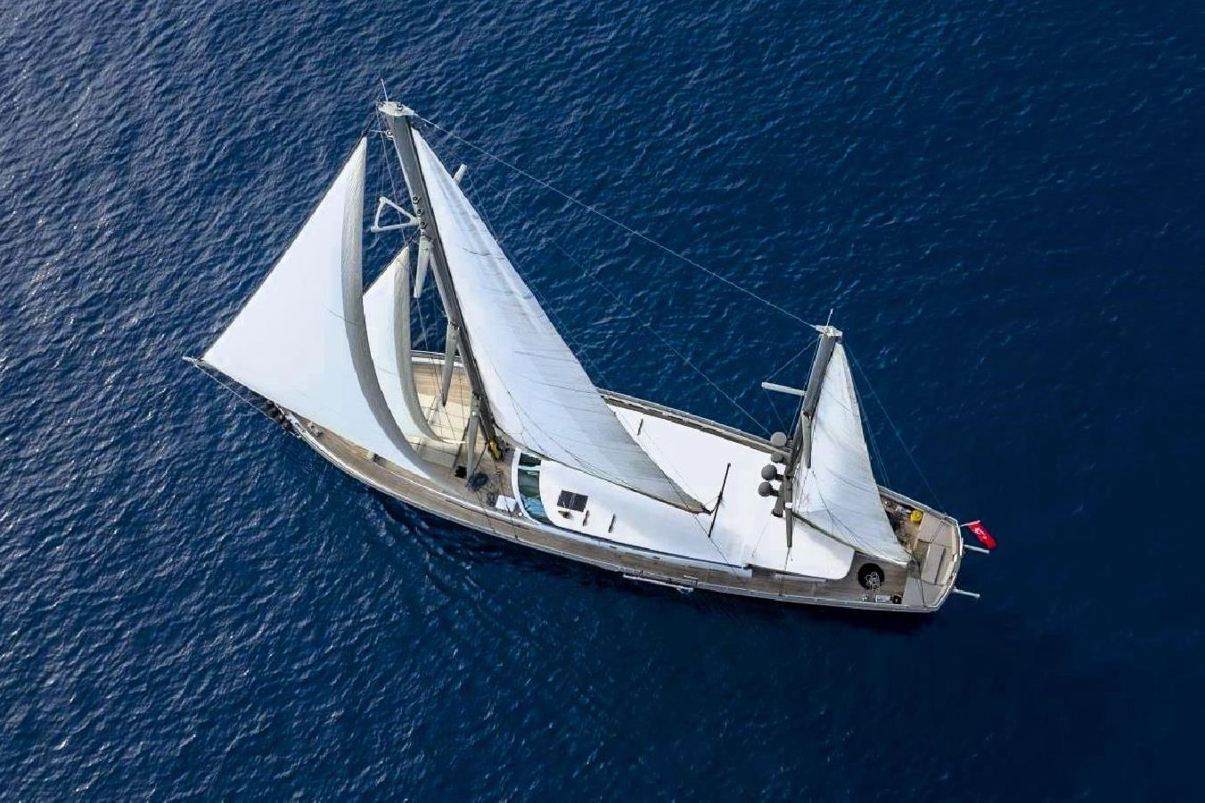 tigra20
