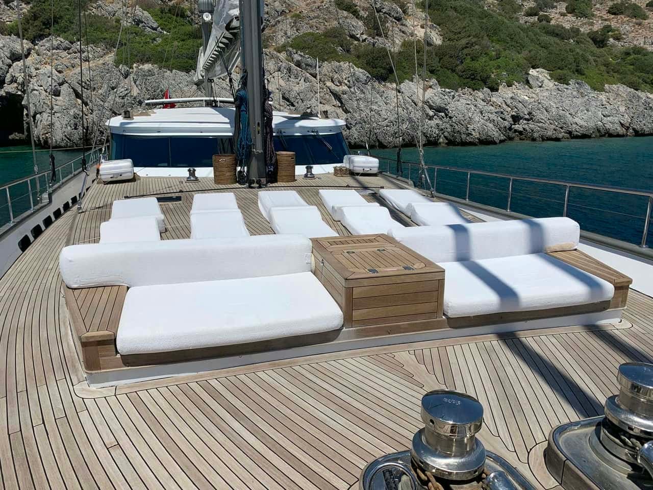tigra5